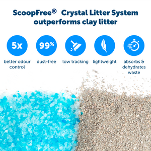 ScoopFree® Reusable Litter Tray