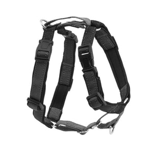 3 in 1 Harness and Car Restraint