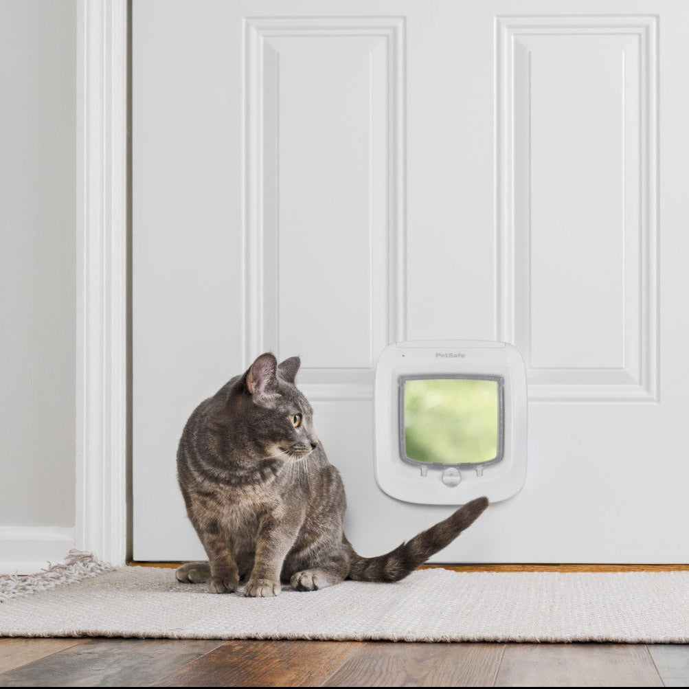 Cat flap outlet in door