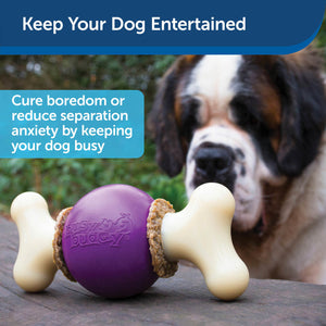 bouncy bone dog chew toy keeps dog entertained and cures boredom