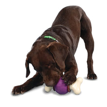 Load image into Gallery viewer, bouncy bone dog chew toy
