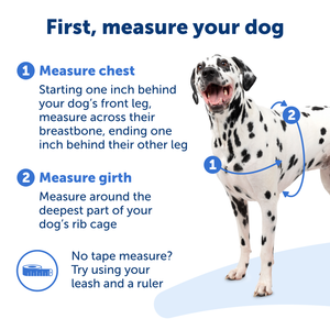 How to measure your dog. 1. measure chest 2. measure girth