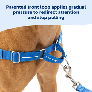 Front dog harness australia hotsell