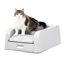 Load image into Gallery viewer, ScoopFree® Clumping Self-Cleaning Litter Box
