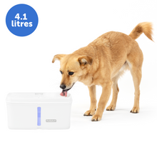 Load image into Gallery viewer, Viva™ Pet Fountain, 4.1 Litre
