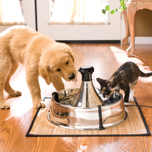 Load image into Gallery viewer, Drinkwell® 360 Stainless Steel Pet Fountain
