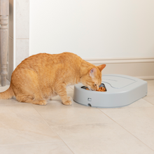 Load image into Gallery viewer, Eatwell 5 Meal Pet Feeder

