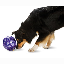 Load image into Gallery viewer, Busy Buddy® Kibble Nibble™ Feeder Ball
