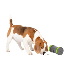 Load image into Gallery viewer, Roaming treat despensing toy for cats and dogs
