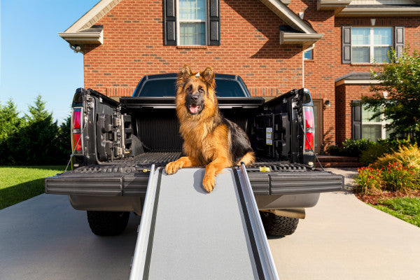 Happy Ride™ Extra-long Telescoping Dog Ramp