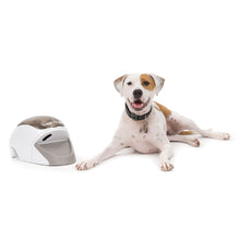 Load image into Gallery viewer, Treat &amp; Train® Remote Reward Dog Trainer
